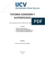 Tutoria Cohesión y Autoeficacia (Fortalezas y Debilidades)