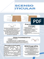 Infografia Curriculum Profesional Azul