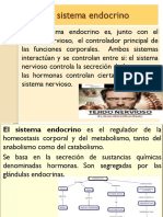 El Sistema Endocrino 1