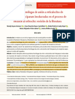 Art 6 PDF