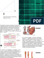 Peristaltismo