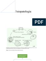 Fisiopatologia NPJ