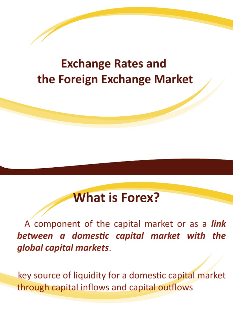 Understanding Exchange Rates in Forex | PDF | Exchange Rate | Foreign ...