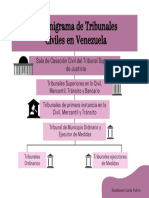 ORGANIGRAMA DE TRIBUNALES CIVILES.pdf