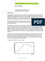 Curva de crecimiento bacteriano Pseudomonas aeruginosa