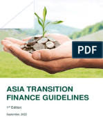 Asia Transition Finance Guidelines PDF
