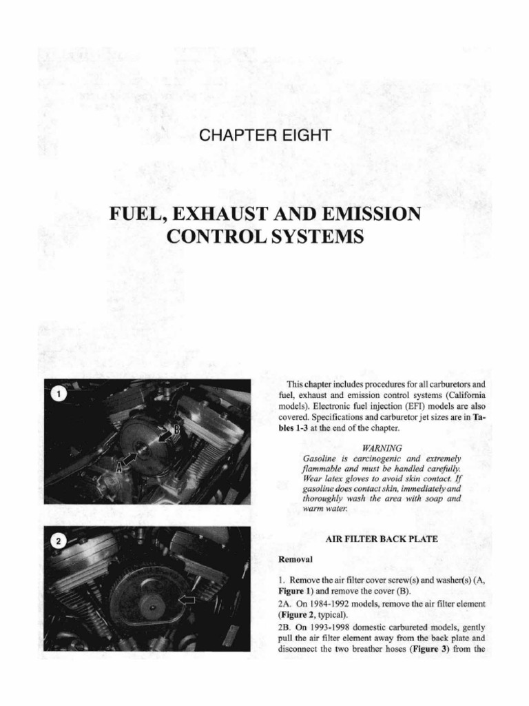 Chapter Eight FUEL EXHAUST AND EMISSION CONTROL SYSTEMS PDF