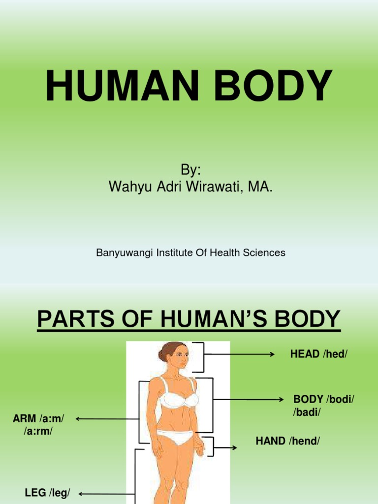 Human Body Fix | PDF