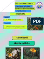 Fitoterapéutica de la Chinchilcoma (Mutisia viciifolia
