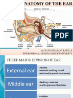 Earanatomy 190219150351