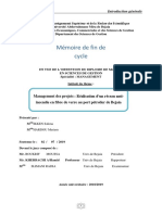 Management Des Projets PDF