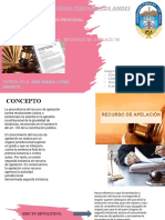 Recurso de Apelacion DPP