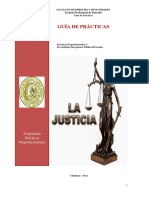 Guia Práctica Preprofesional I PDF
