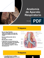 Anatomía de Aparato Respiratorio 2019 JB