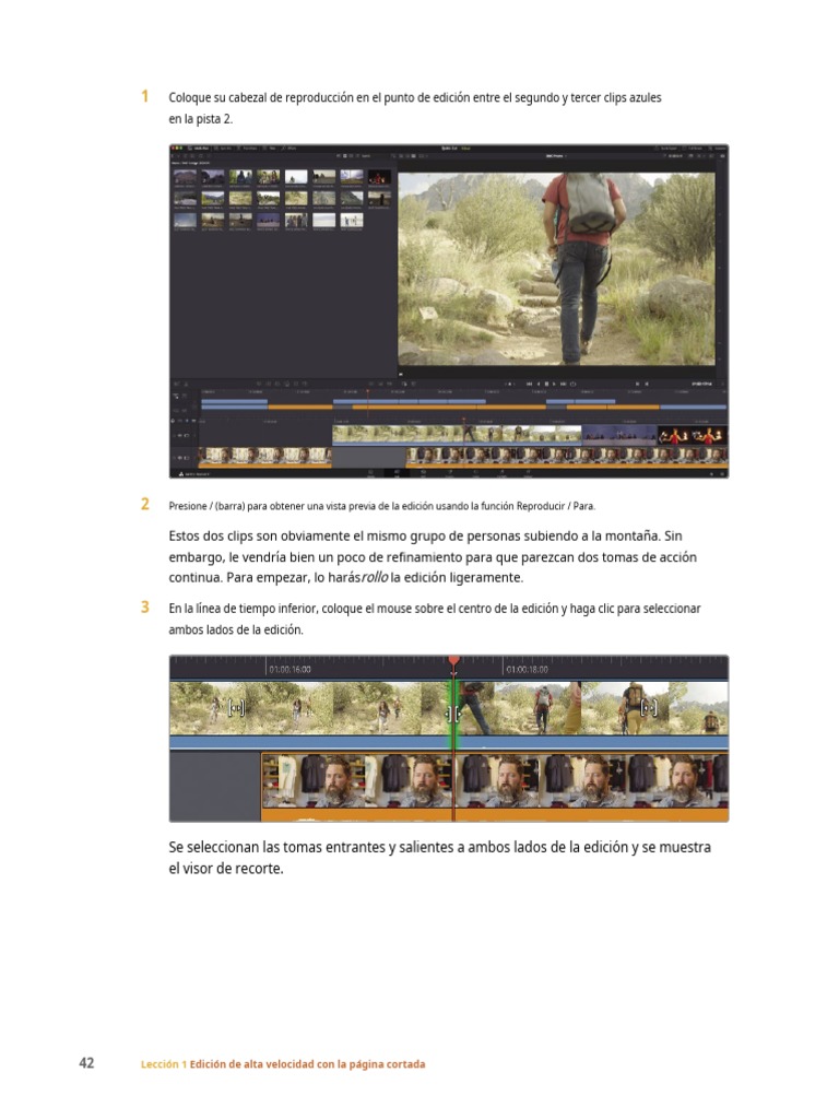 Manual DaVinci Resolve 17 Principiantes5761 PDF