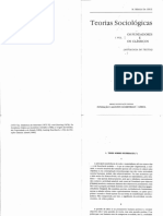 Teorias, Sociológicas Vol.1 Braga Da Cruz PDF