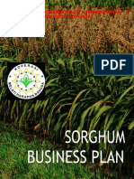 Proposal Bisnis Shorgum PDF