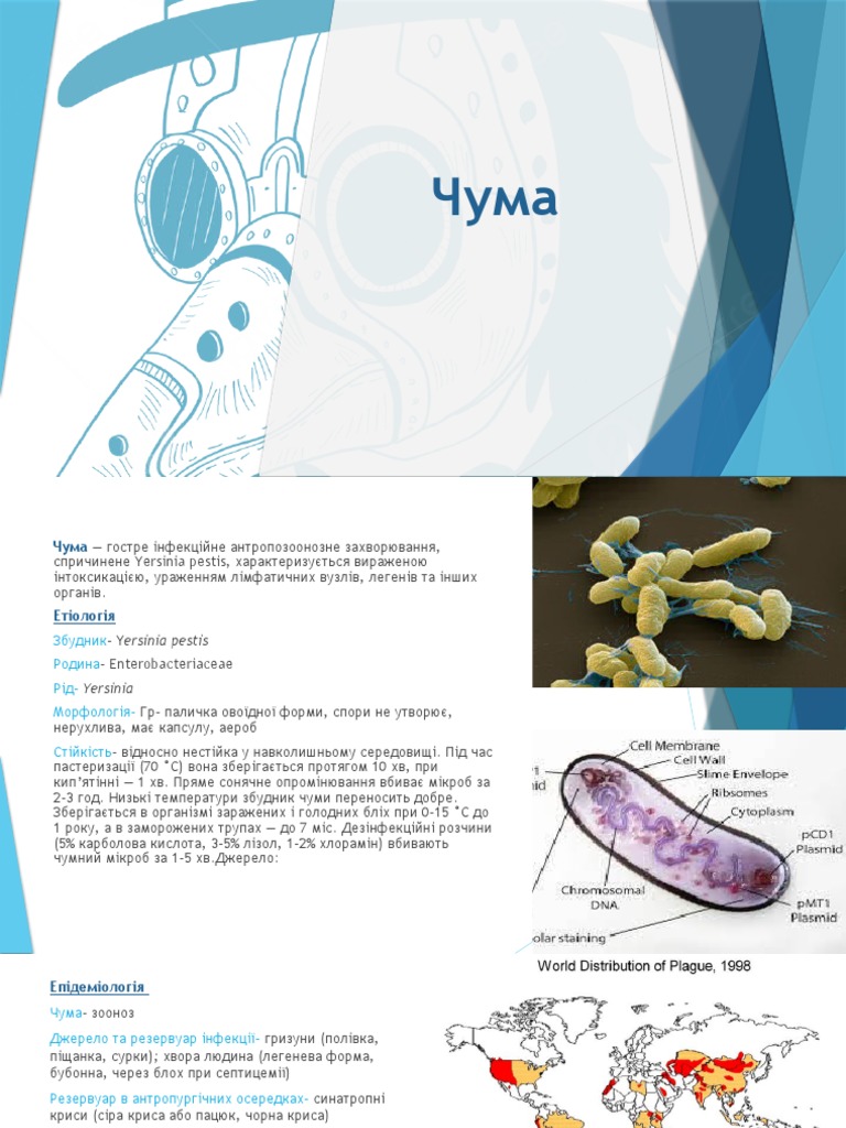 Чума | PDF