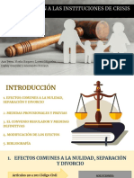 Régimen Común A Las Instituciones de Crisis Matrimonial PDF