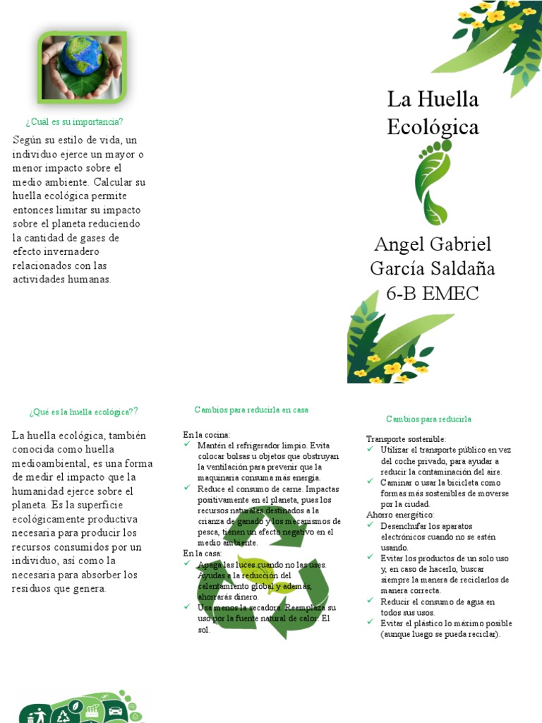Estrategias para Reducir la Huella Ecológica | PDF | Entorno natural ...