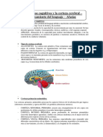 Resumen 2° Parcial Neurofisiologiìa