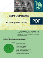 Fluxograma de notificação de Leptospirose animal e humana