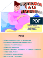 Proteccion A La Maternidad