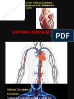 Anatomia Circulatorio 2
