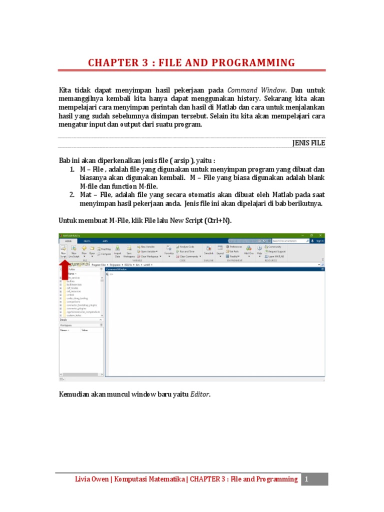 Panduan M-File dan Input-Output MATLAB | PDF | Komputer