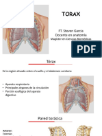 Torax PDF