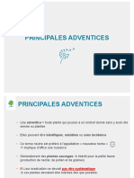 BOTA - Fiches Des Adventices Les Plus Courantes PDF