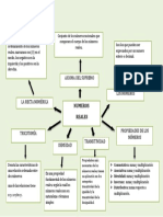 Mapa Conceptual de Los Numeros Reales 2