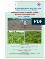 Odisha Report PDF