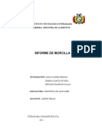 INFORME MORCILLA.docx