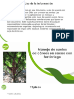 Manejo de Suelos Calcáreos en Cacao Con Fertirriego 09.08.2022