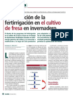 Optimización de la fertirrigación en fresa