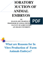 In Vitro Production of Farm Animal Embryos