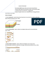 Hukum Stratigrafi