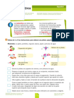 A1 Español - Los Instructivos