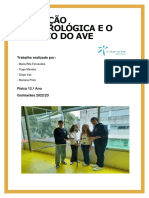 Trabalho Fisica 12ano Final Final PDF