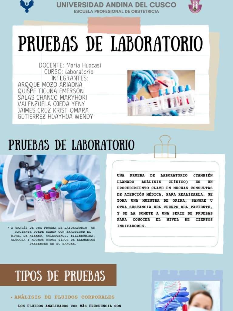 Tipos y Funciones de Pruebas de Laboratorio | PDF | Laboratorios ...
