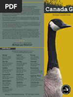 Canada Goose Smart Brochure