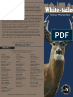 Deer Smart Brochure