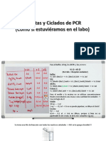 Cuentas y Ciclado PCR (2).pdf
