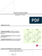 Ruta de las pentosas Fosfato - Bioquímica 2 B – 1°C 2021