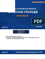 Biología Celular - Organelas-6-16