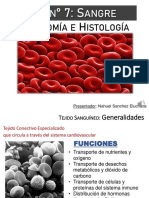 Tejido Sanguíneo PDF