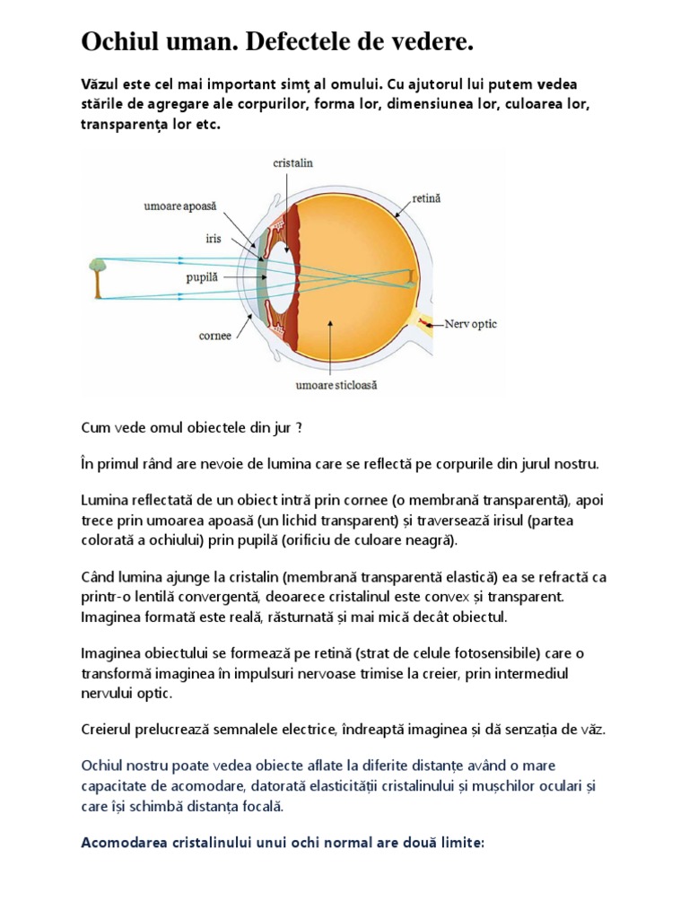 Ochiul Uman PDF | PDF