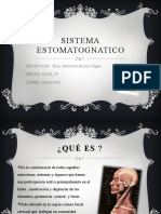 Sistema Estomatognatico-Salud Oral