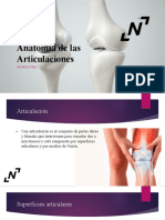 Documento PDF